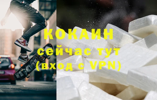 прущие грибы Бронницы