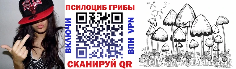 Галлюциногенные грибы Magic Shrooms Владимир