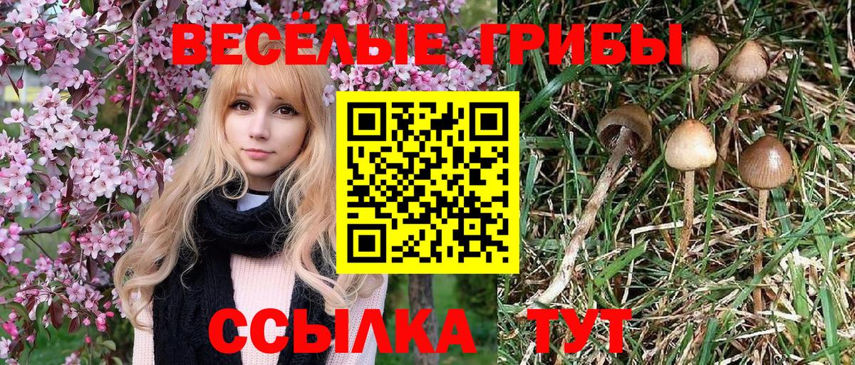 Галлюциногенные грибы Magic Shrooms Владимир
