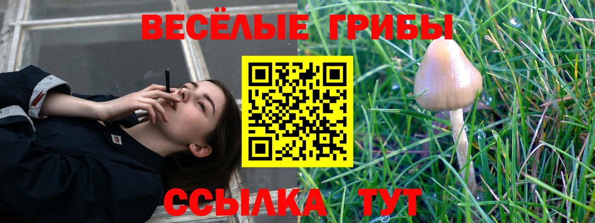 Галлюциногенные грибы Magic Shrooms  Владимир 