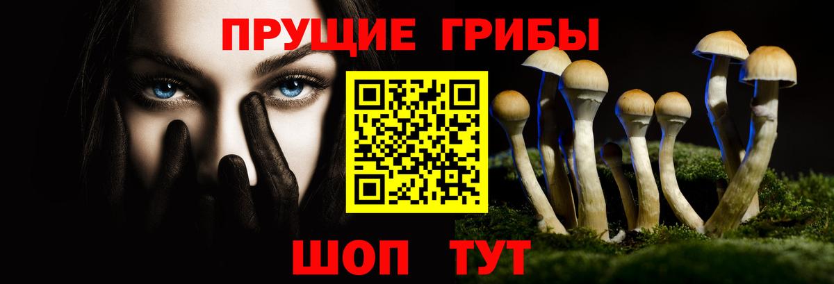Псилоцибиновые грибы GOLDEN TEACHER  Вход с VPN  Владимир 