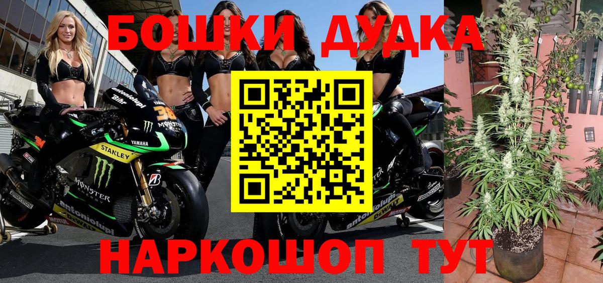 Владимир  Шишки марихуана Bruce Banner  Вход с VPN  Бошки Шишки тримм 